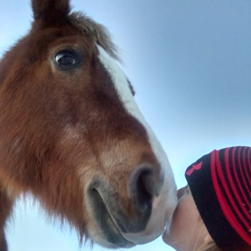 Meet your Posher, Jenn